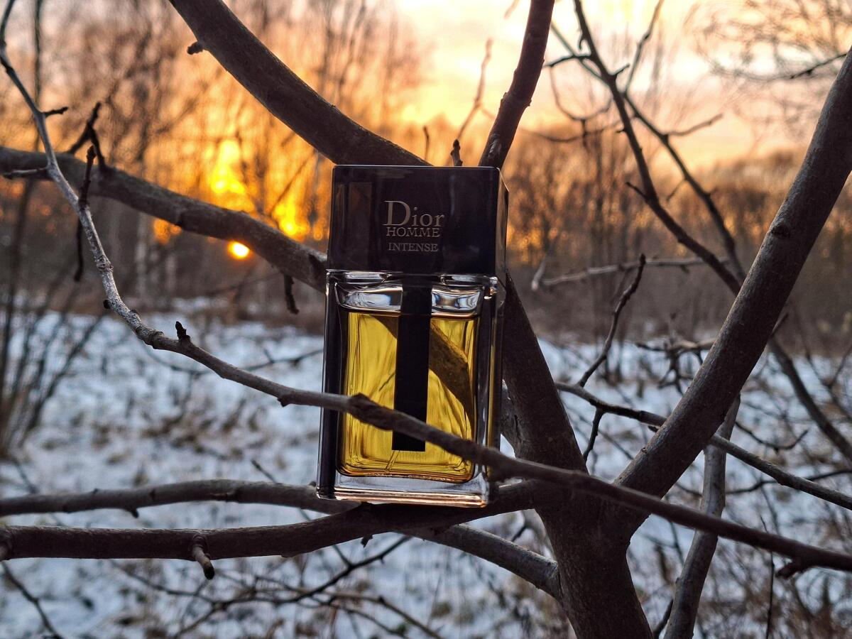 Dior Homme Intense